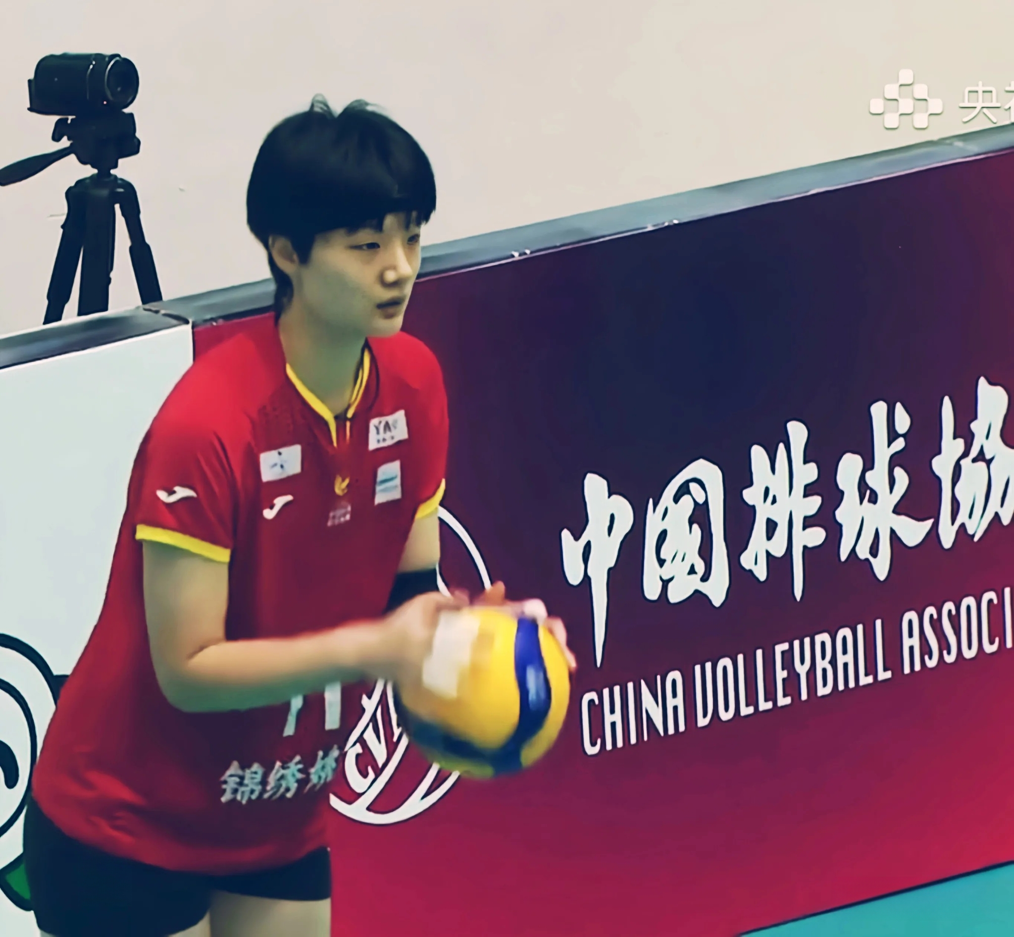 包含中国女排战胜对手，零封对手，完美复仇的词条