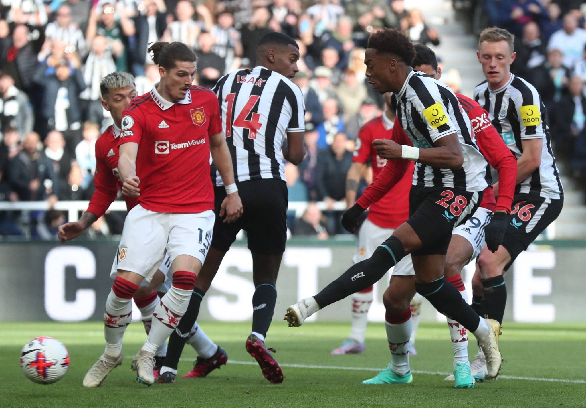 纽卡斯尔主场抢分,成功逆袭取胜 纽卡斯尔主场抢分,成功逆袭取胜