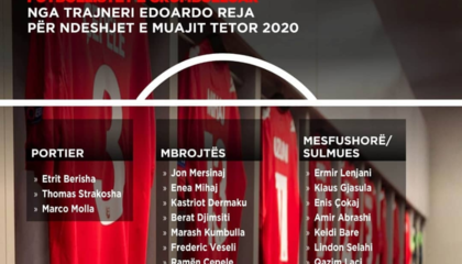 爱尔兰队备战阿尔巴尼亚队重要对决，追求晋级的简单介绍